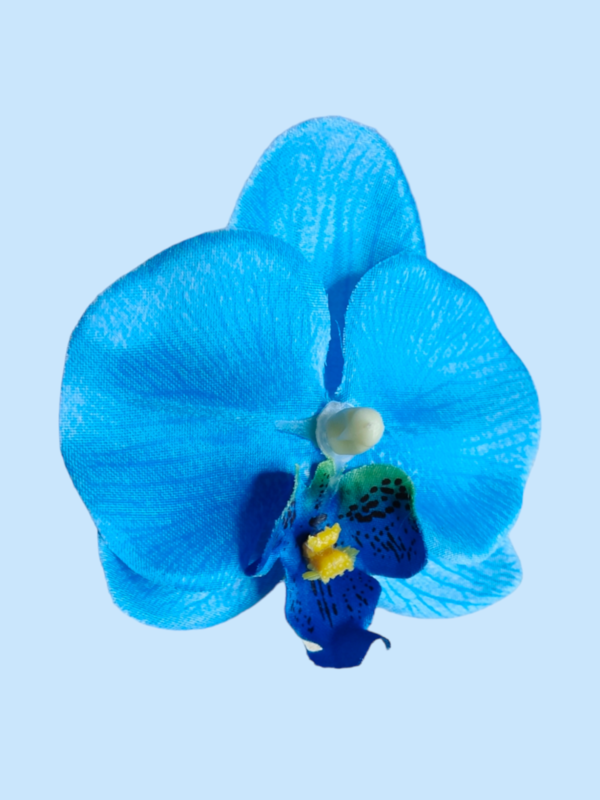Orquidea pequeña azul