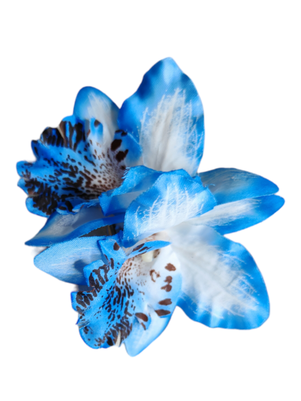 Orquidea doble pequeña azul