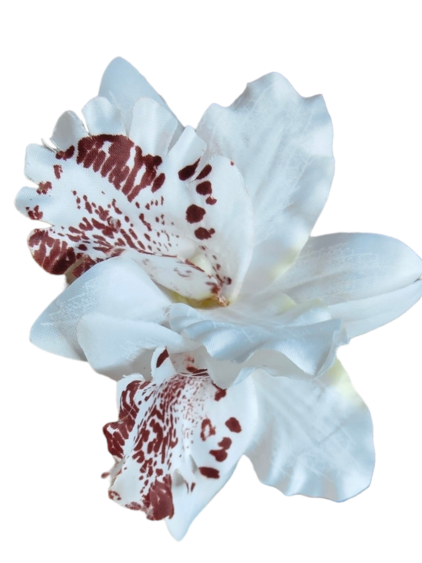 Orquidea doble pequeña blanca